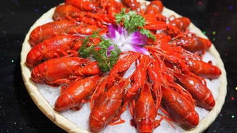 小龍蝦價(jià)格暴跌，為何餐館仍貴？調(diào)料成本與消費(fèi)體驗(yàn)成關(guān)鍵