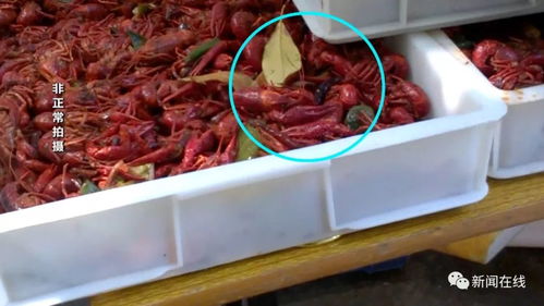 深夜加工的小龍蝦調料 小區(qū)食品加工點背后的隱患