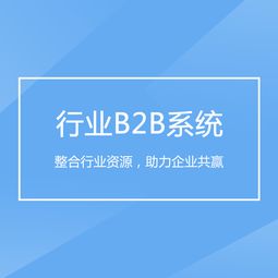 重慶企業(yè)軟件開發(fā) 驅(qū)動(dòng)B2B行業(yè)系統(tǒng)轉(zhuǎn)型升級(jí)